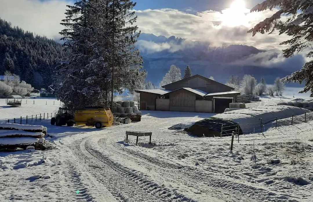 Urlaub am Bauernhof bei Familie Steinbrecher-1